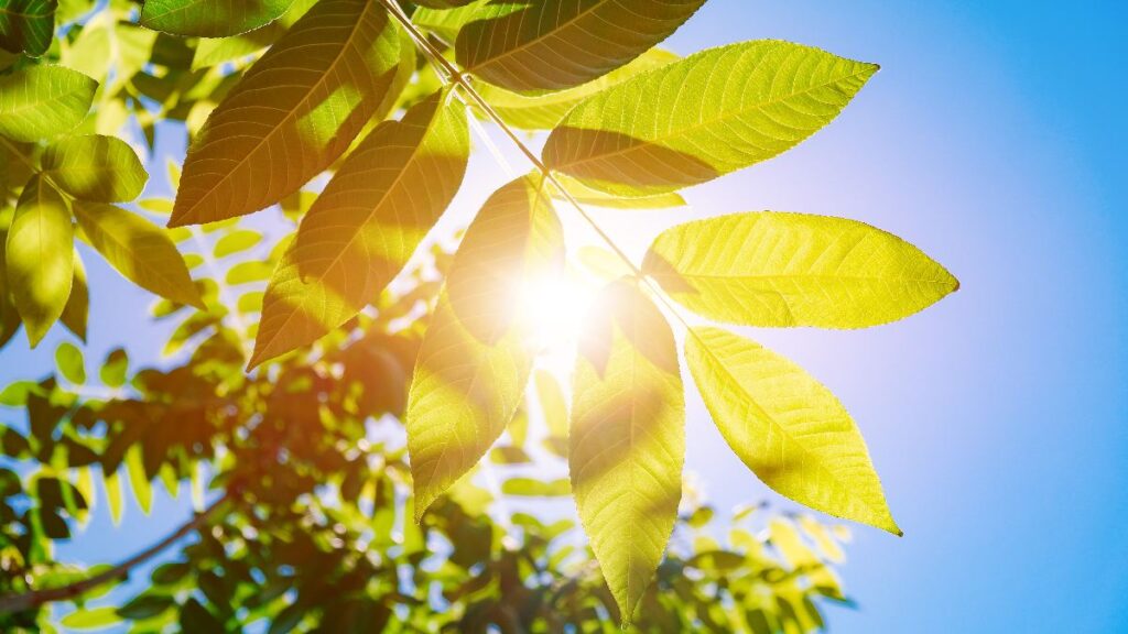 Settembre Alta Pressione